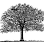 Lawn Arts Lawn and Handyman Services Inc.