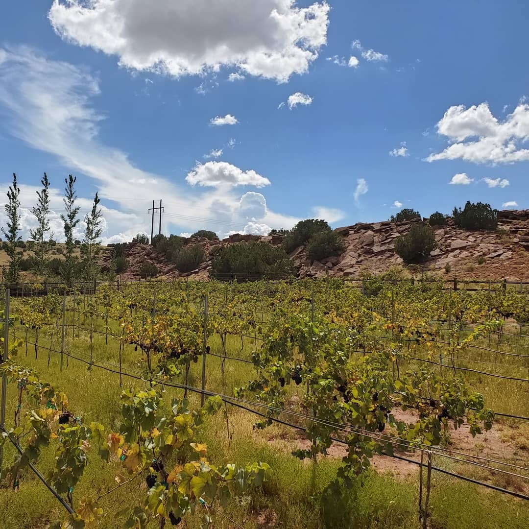 Desert Rock Winery & Distillery