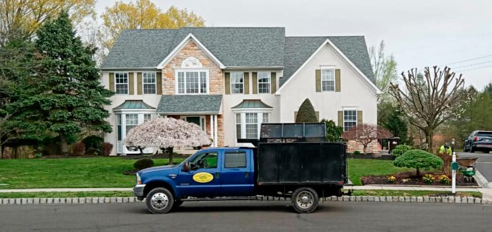 Nestor Landscaping and Tree, photo 2