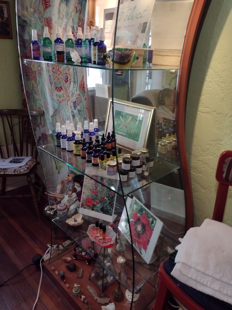 The Natural Sanctuary Salon, photo 2