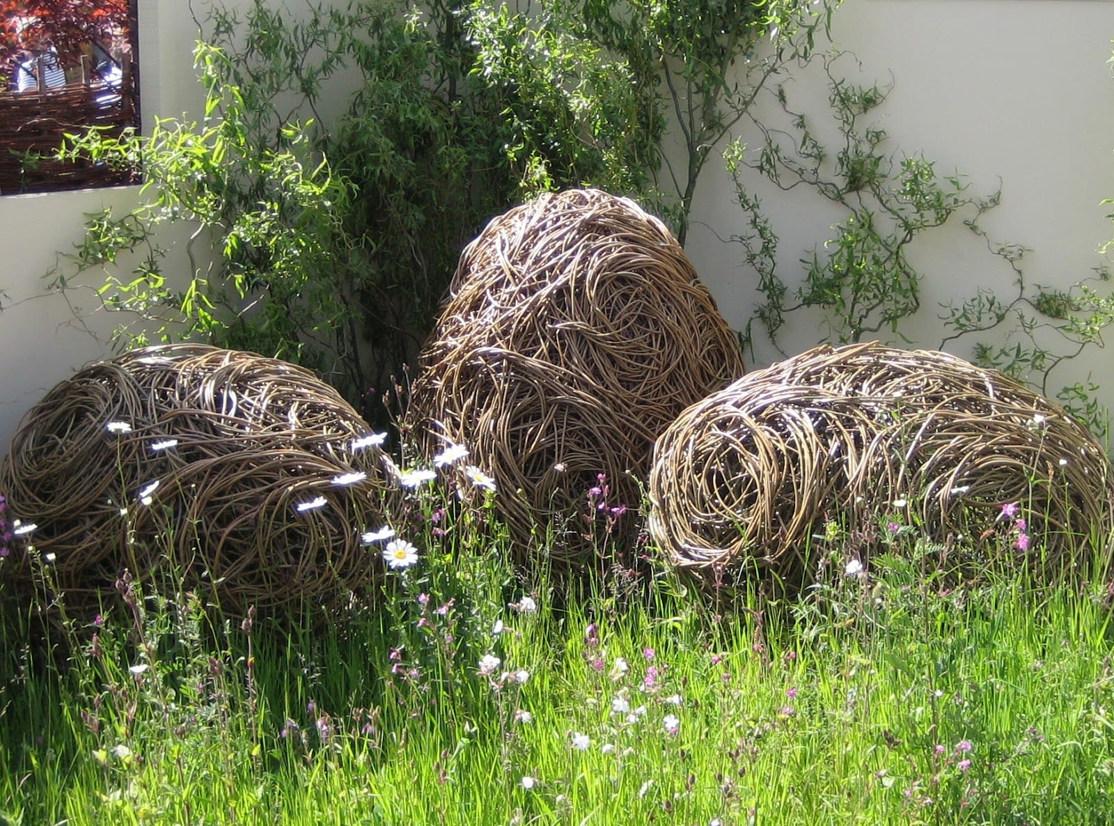 Fine Gardens