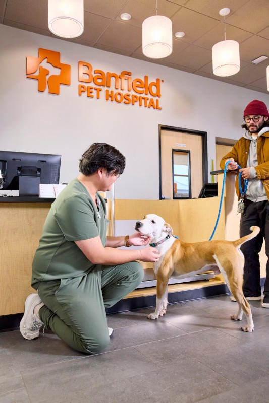 Banfield Pet Hospital, photo 4