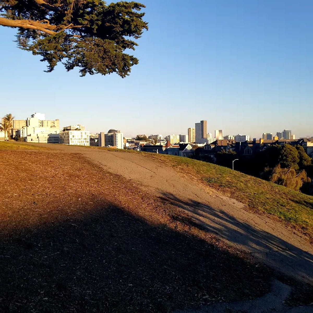 Alta Plaza Dog Play Area