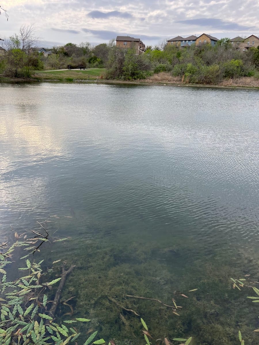 University Village Park