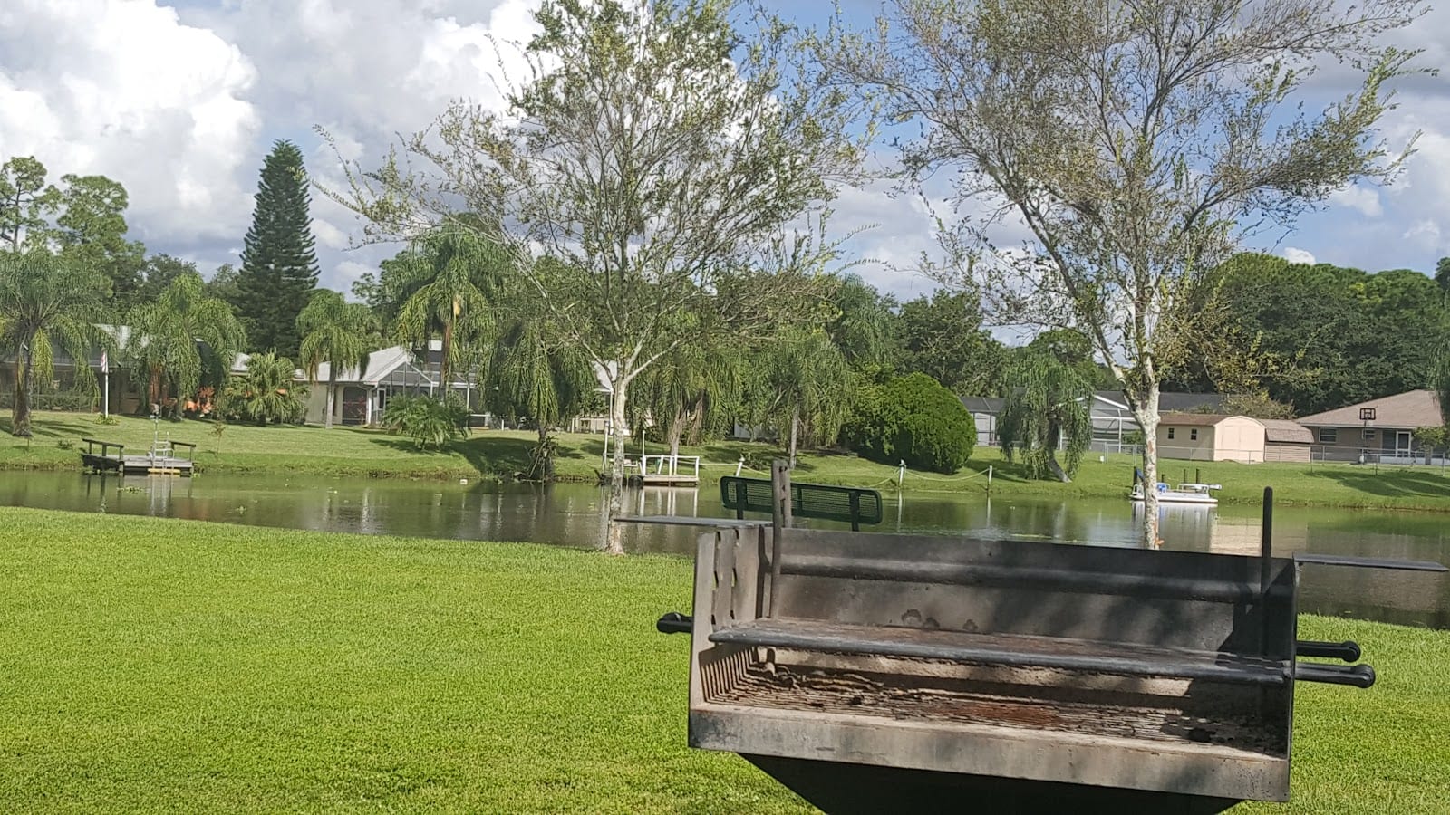 Pine Park, photo 3