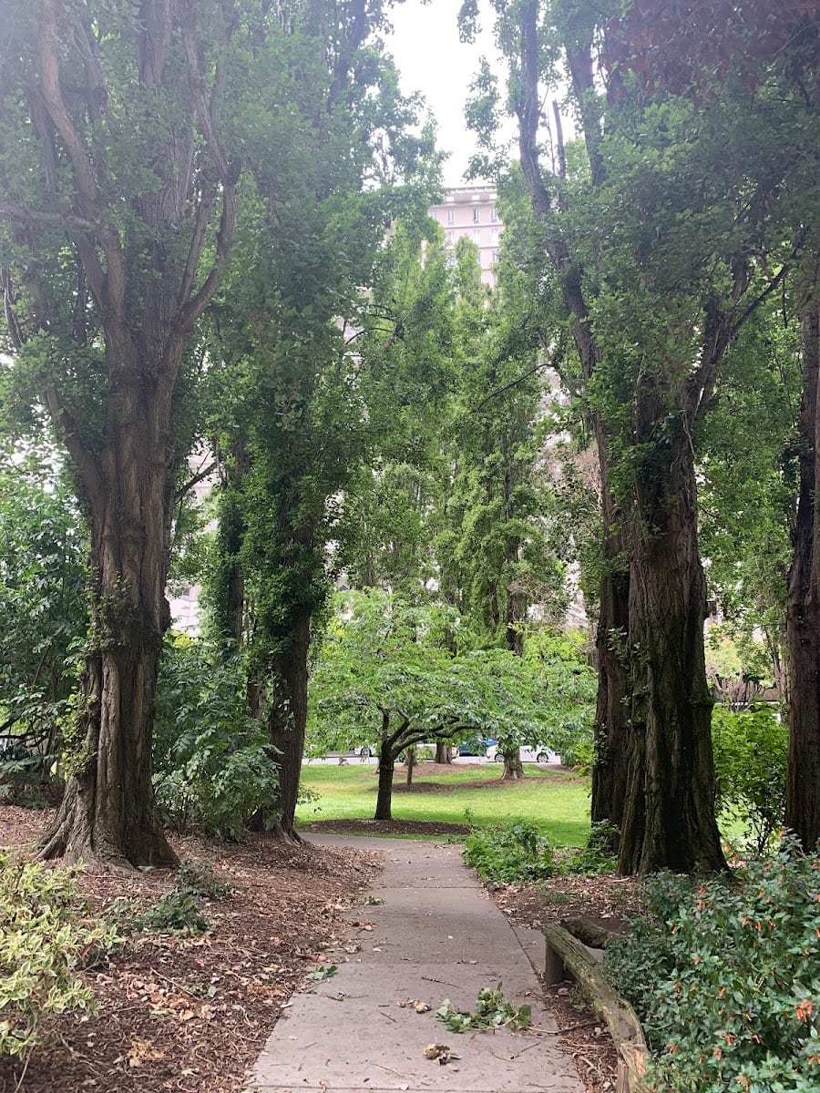Ferry Park