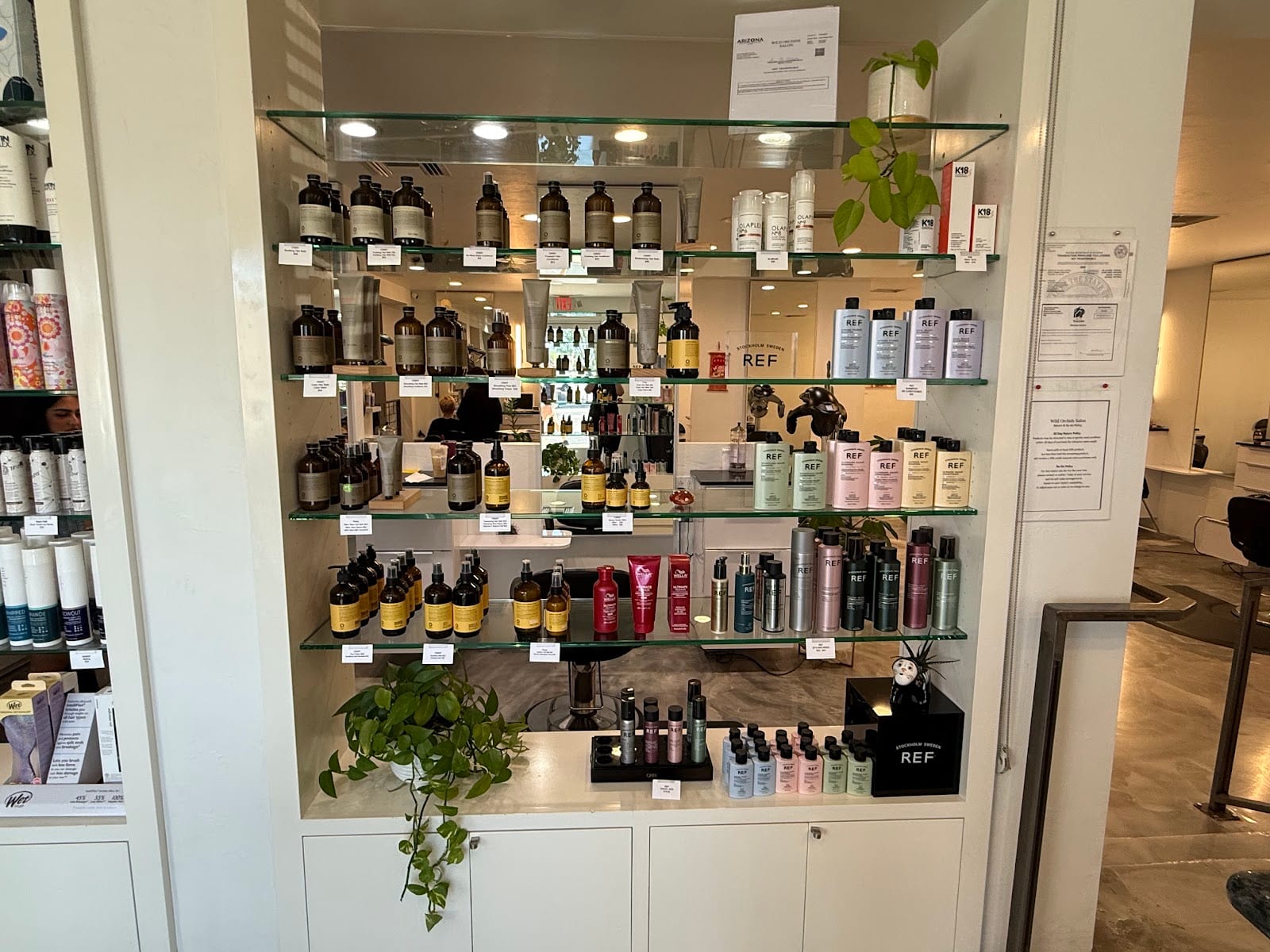 Wild Orchids Salon Collective, photo 4