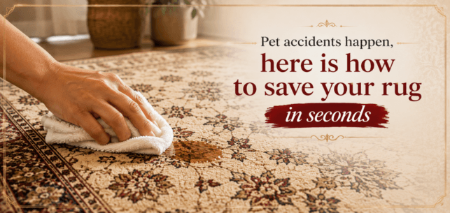 Napa Rug Co., photo 4
