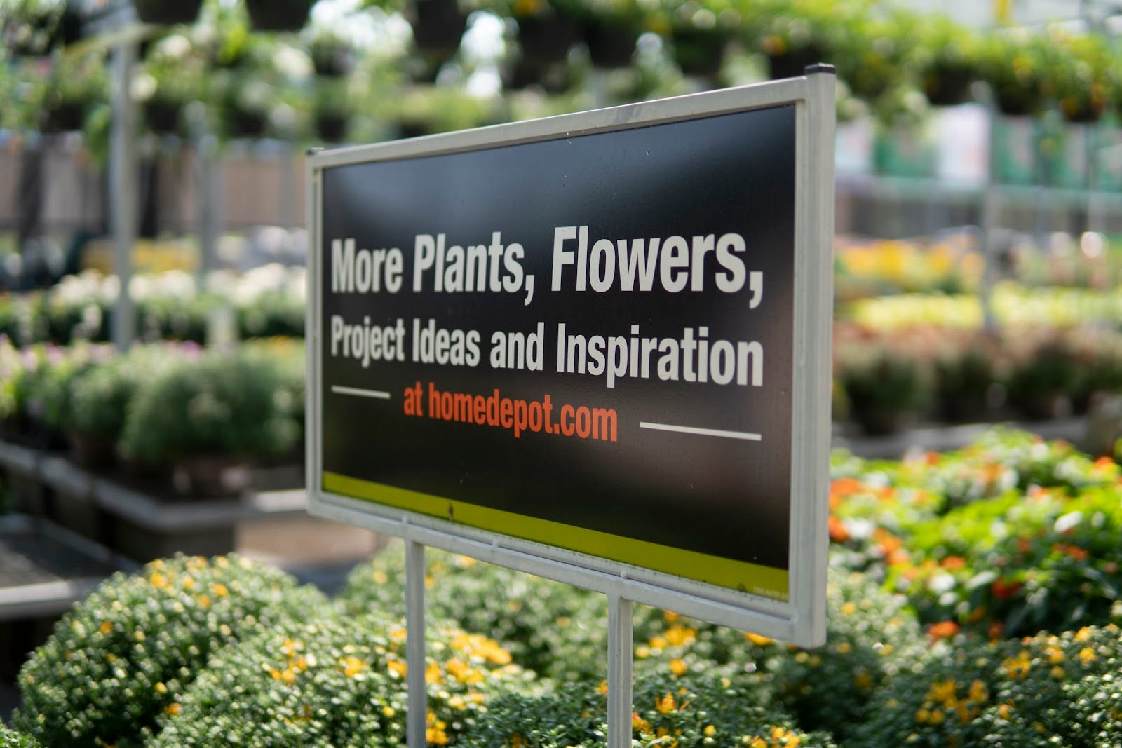 Garden Center at The Home Depot, photo 3