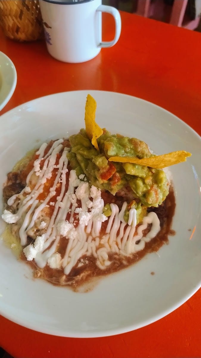 Mexi & Co