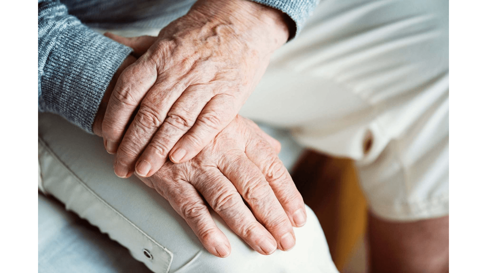 PrimRose Home Care & Hospice, photo 2