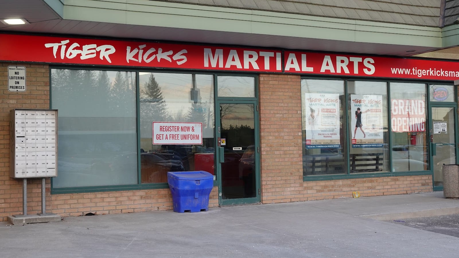 Tiger Kicks Martial Arts