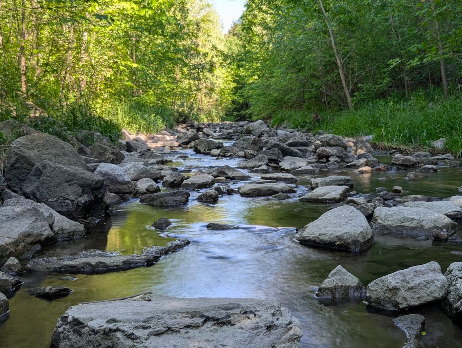 Duncan Creek Trail