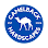 Camelback Hardscapes