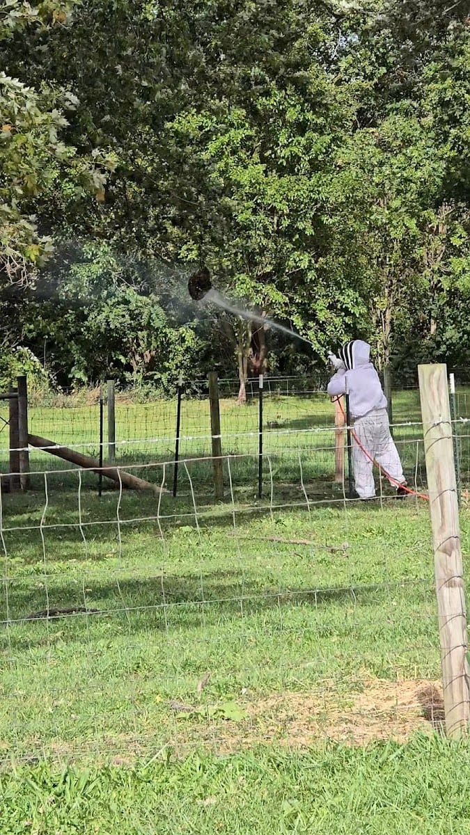 Creepy Crawlers Perimeter Pest Control