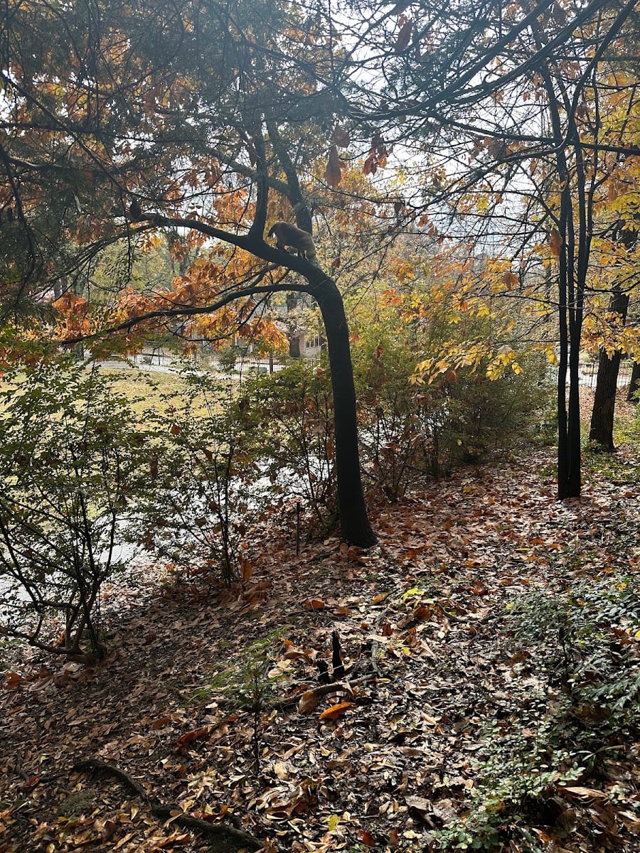 Prospect Terrace Park, photo 2