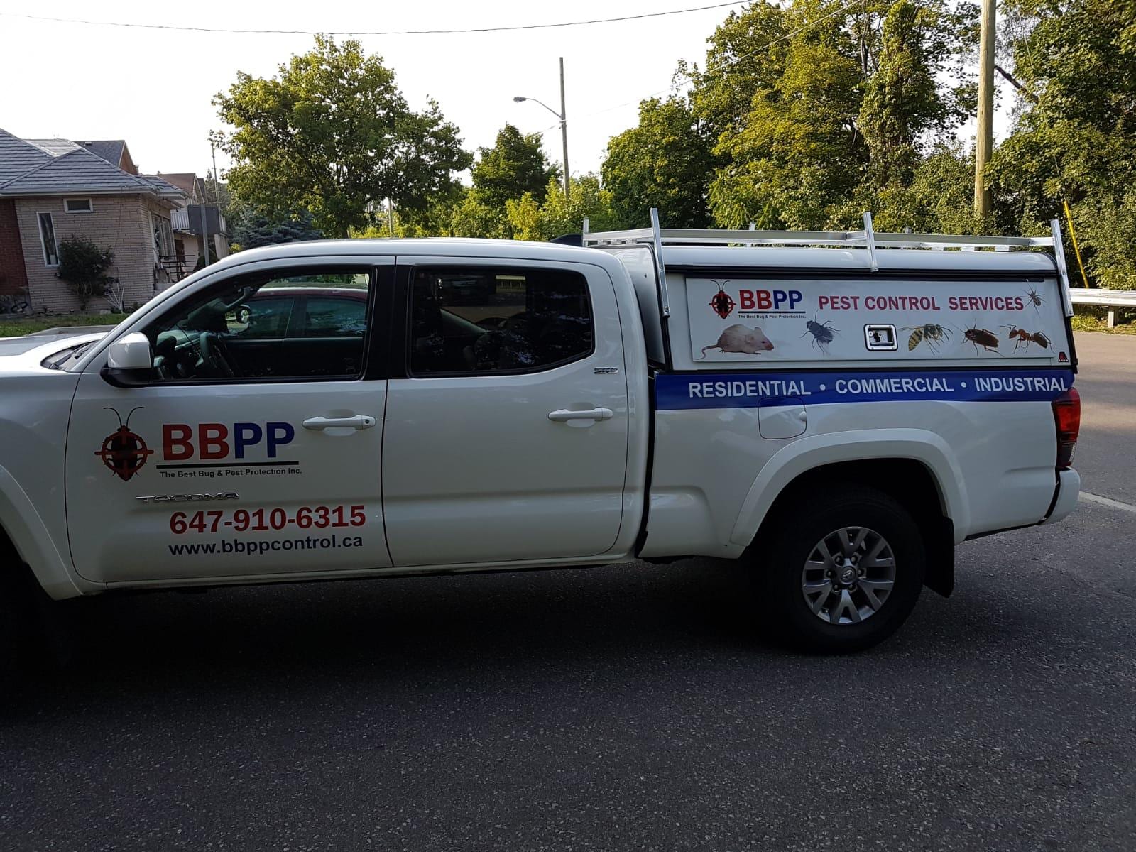 B.B.P.P | Mice Control Service, photo 2
