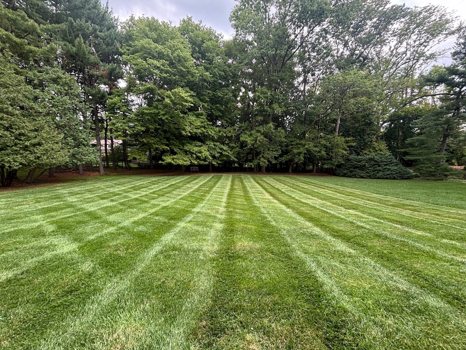 Rish’s Complete Lawn Care, photo 3