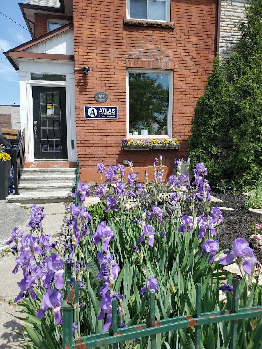 Atlas Chiropractic & Family Wellness, photo 3