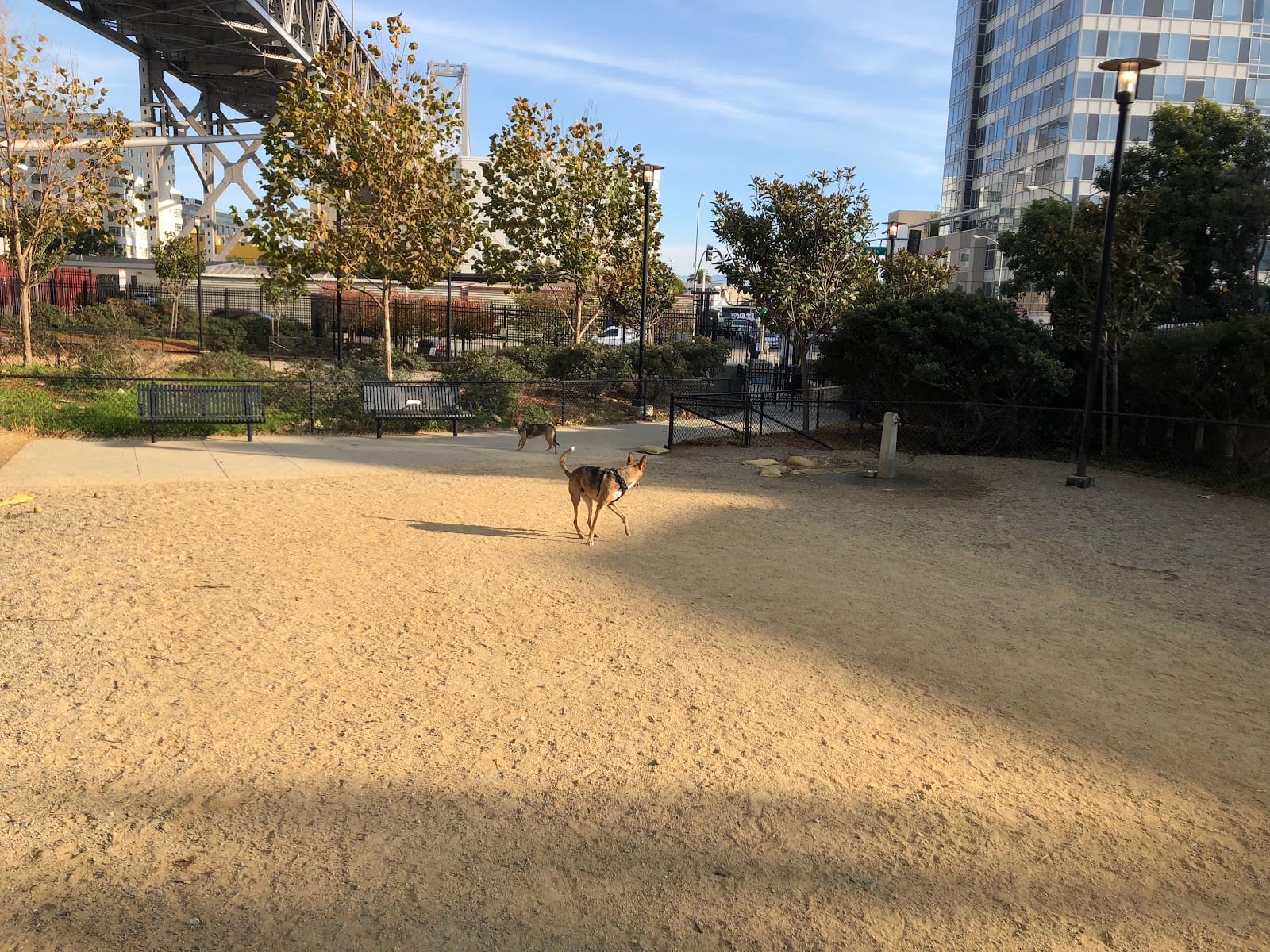 Rincon Hill Dog Park
