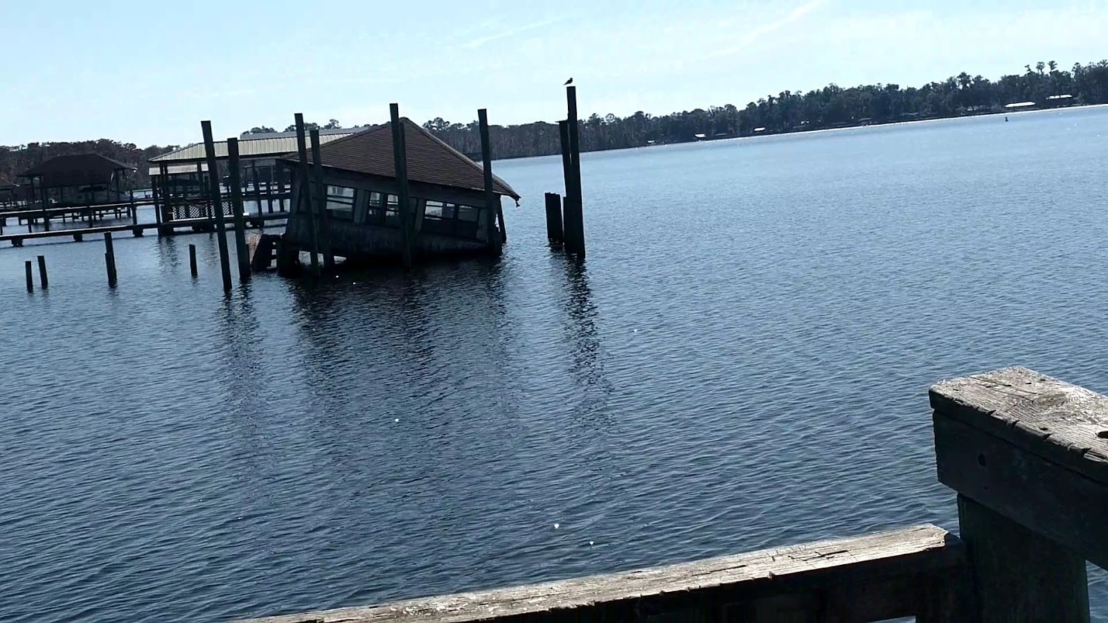 Doctors Lake Park, photo 2