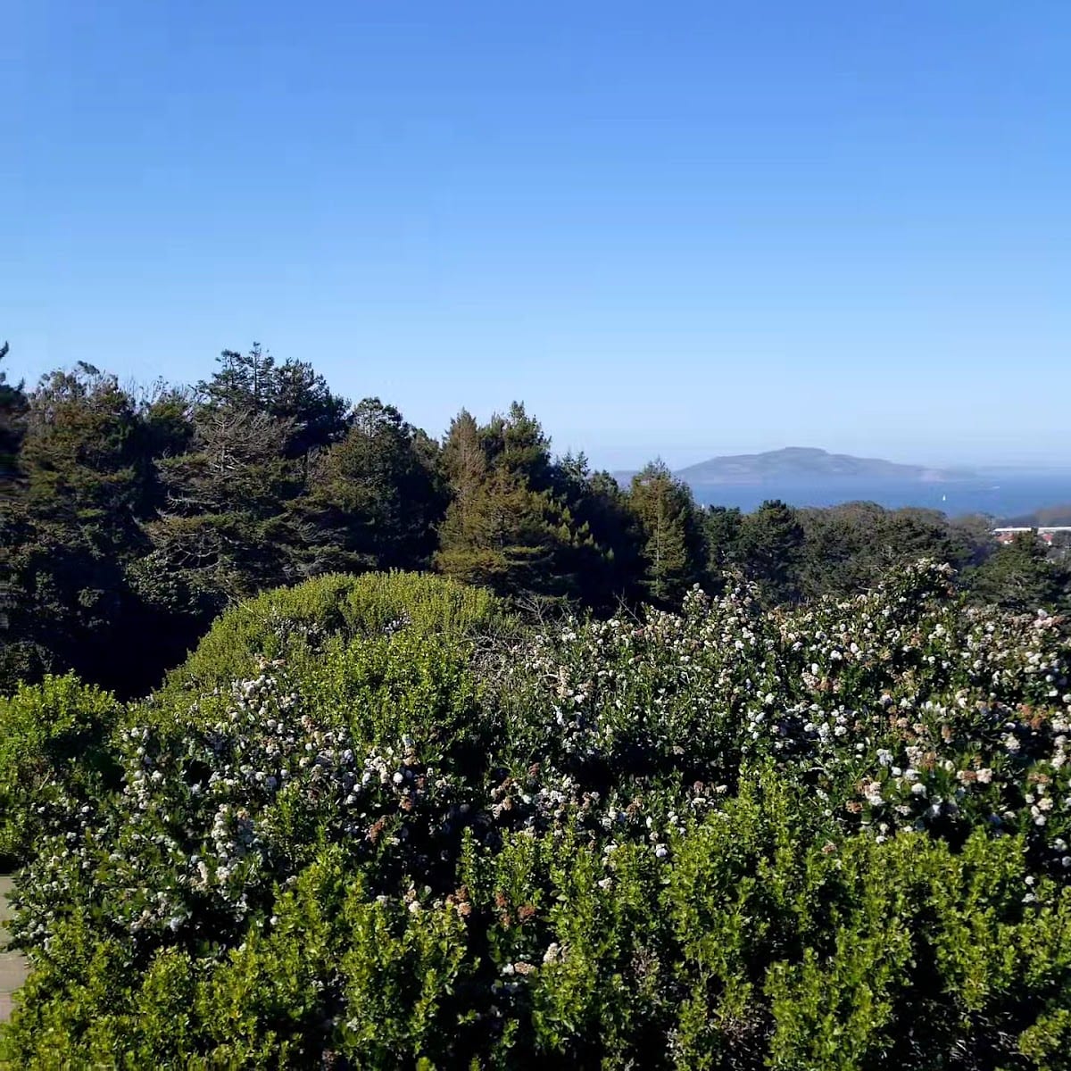 Ecology Trail, photo 2