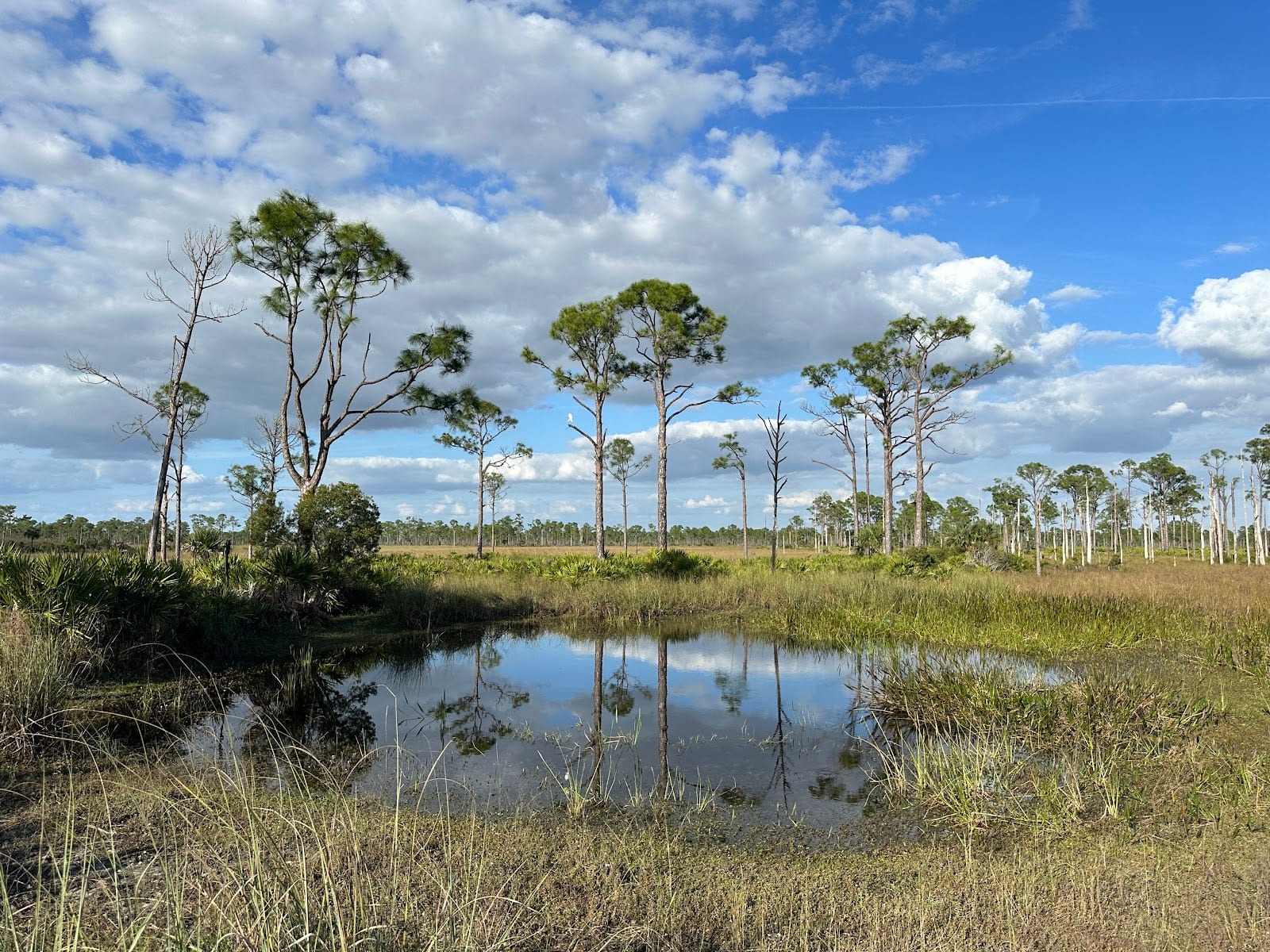 Fred C. Babcock/Cecil M. Webb Wildlife Management Area