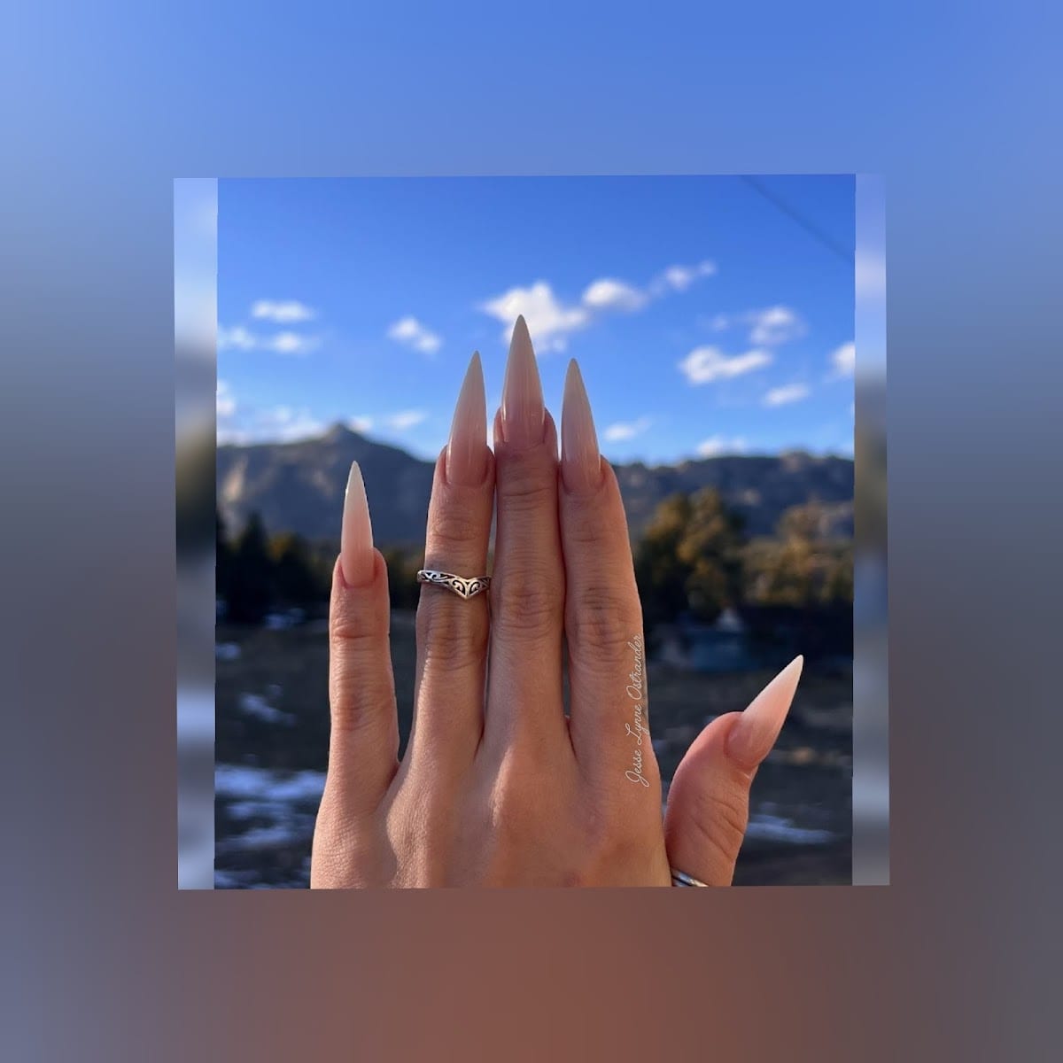 Jesse Lynne Co - Nail Technician