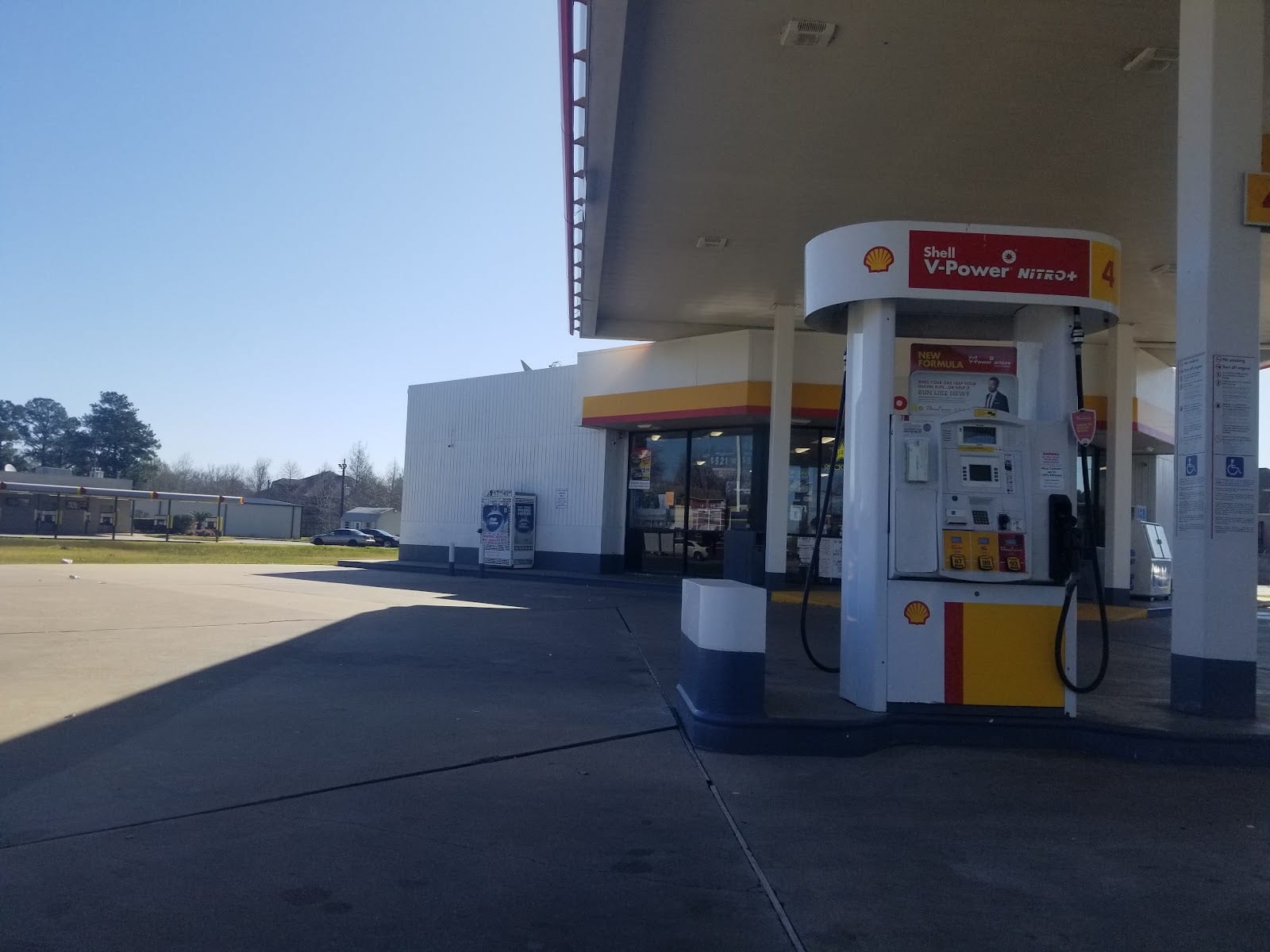 Shell, photo 3