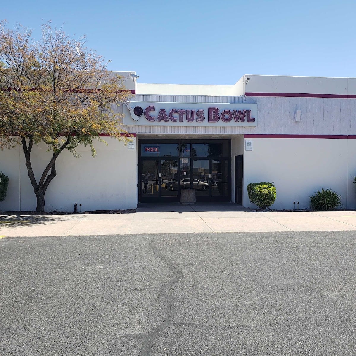 Cactus Bowl, photo 4