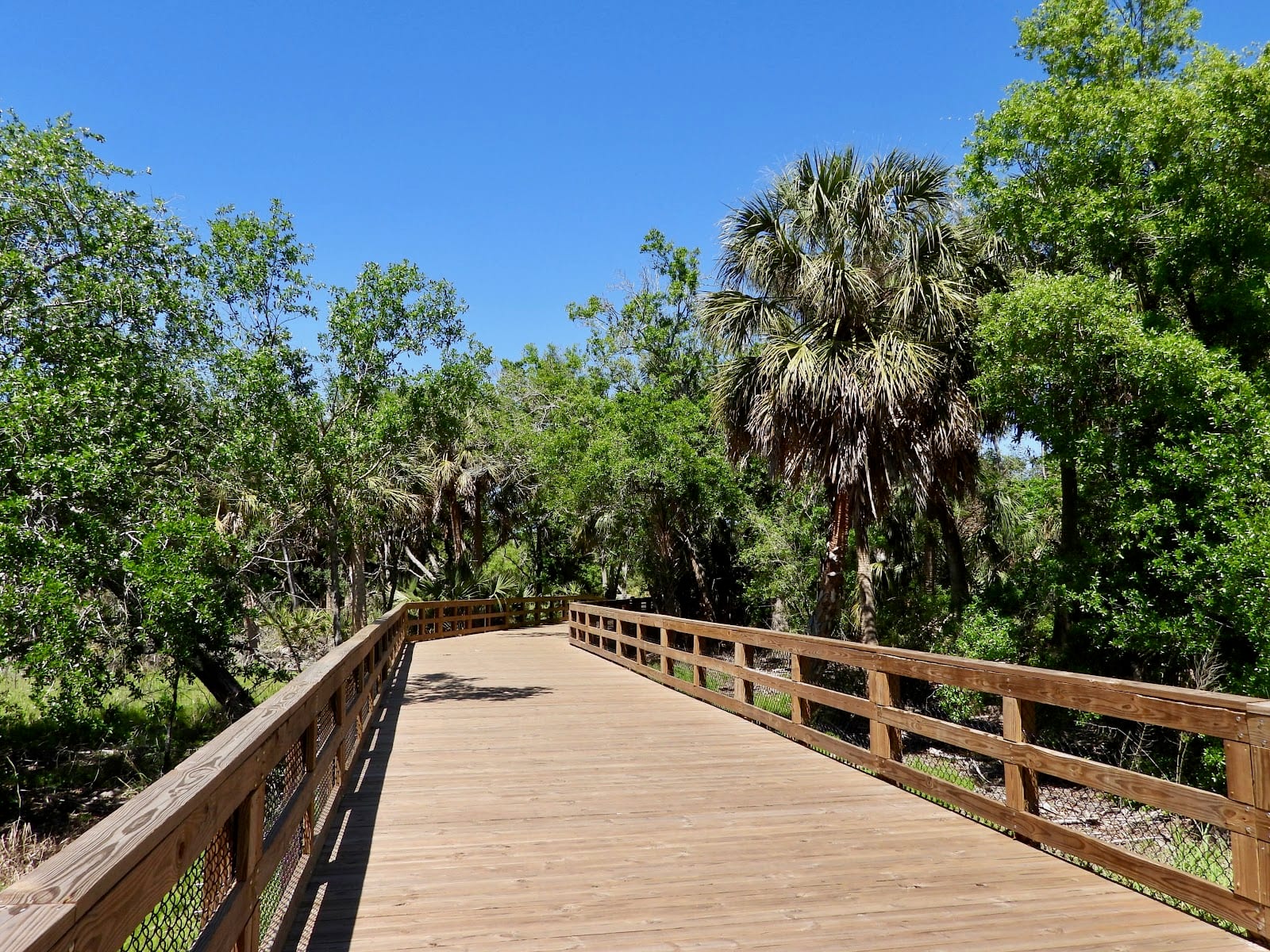 MacDill 48 Park