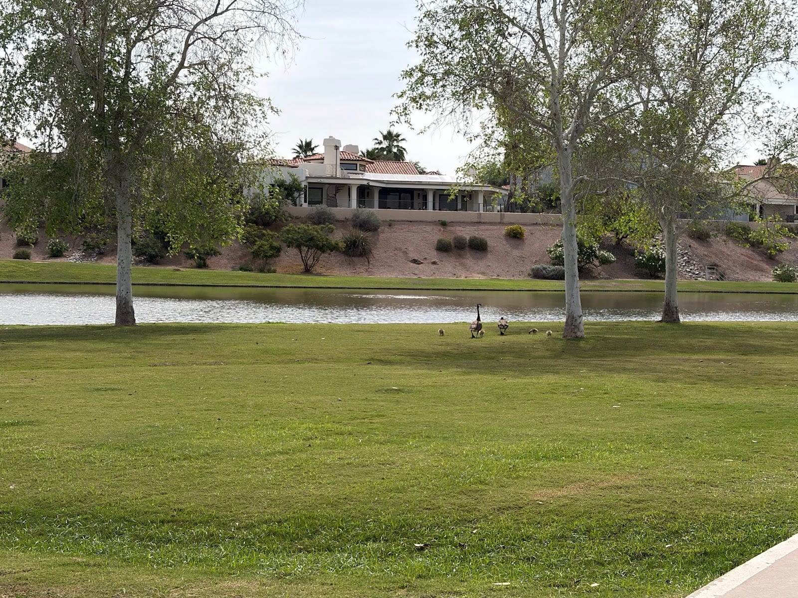 Camelback Park