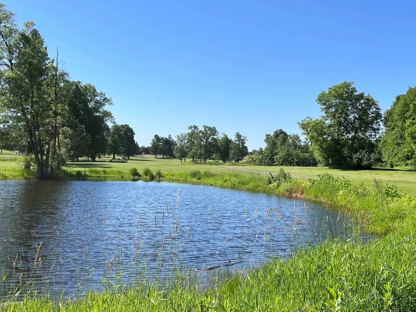 Cedar Creek Golf Course, photo 3
