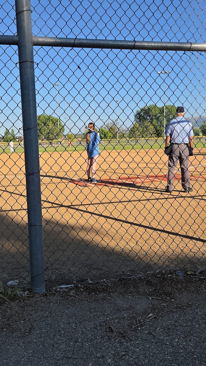 Field 4