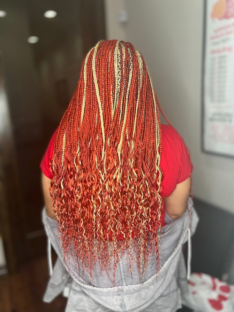 ZYTA African Braiding Hair