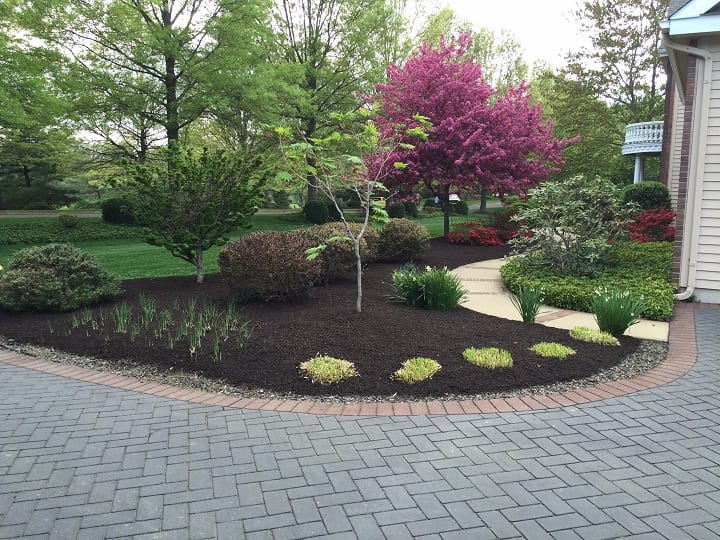 Wooley's Landscaping, photo 3