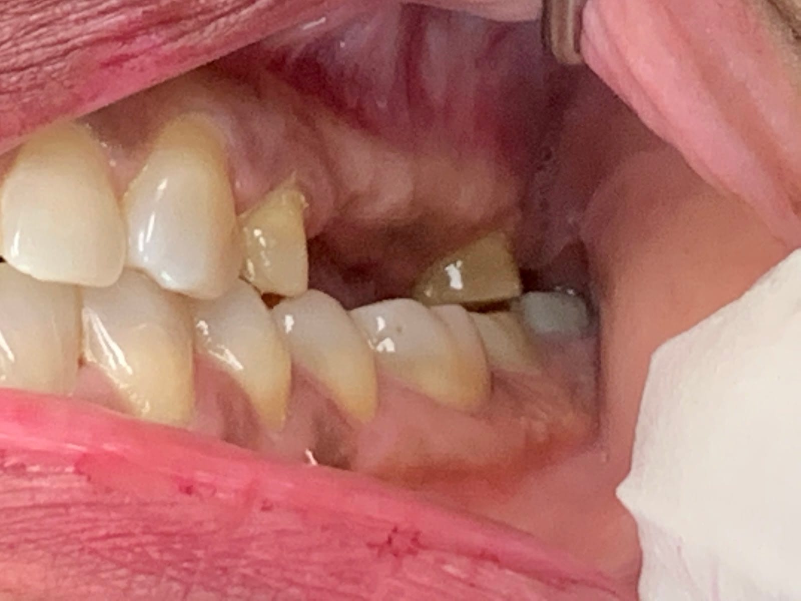 Coit Dental