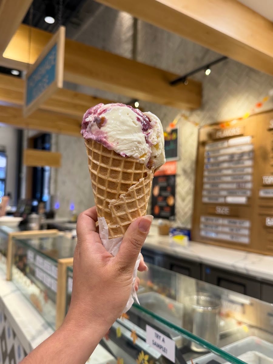 Rockwell Ice Cream | Local, Super-Premium, photo 2