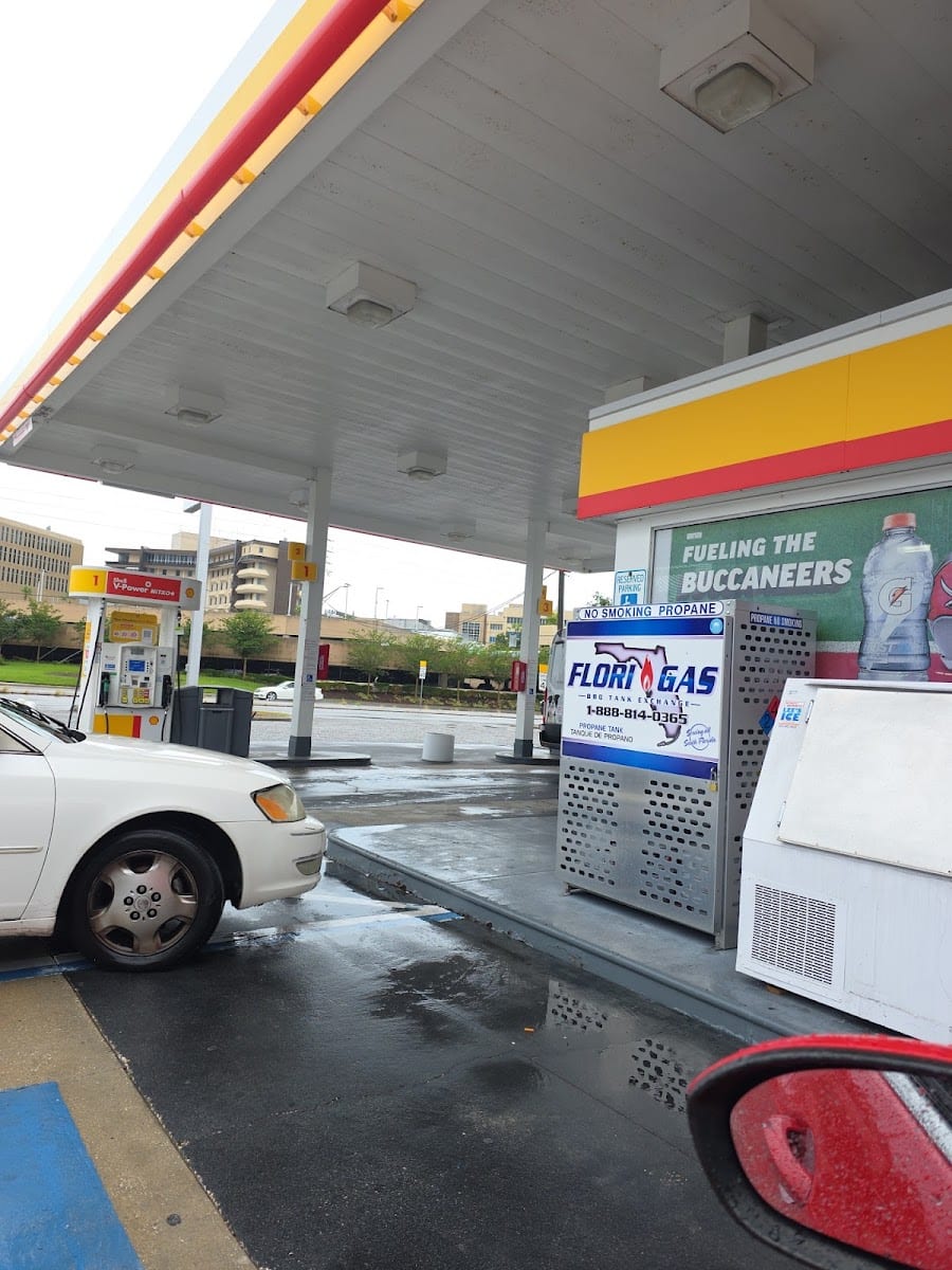 Shell, photo 3
