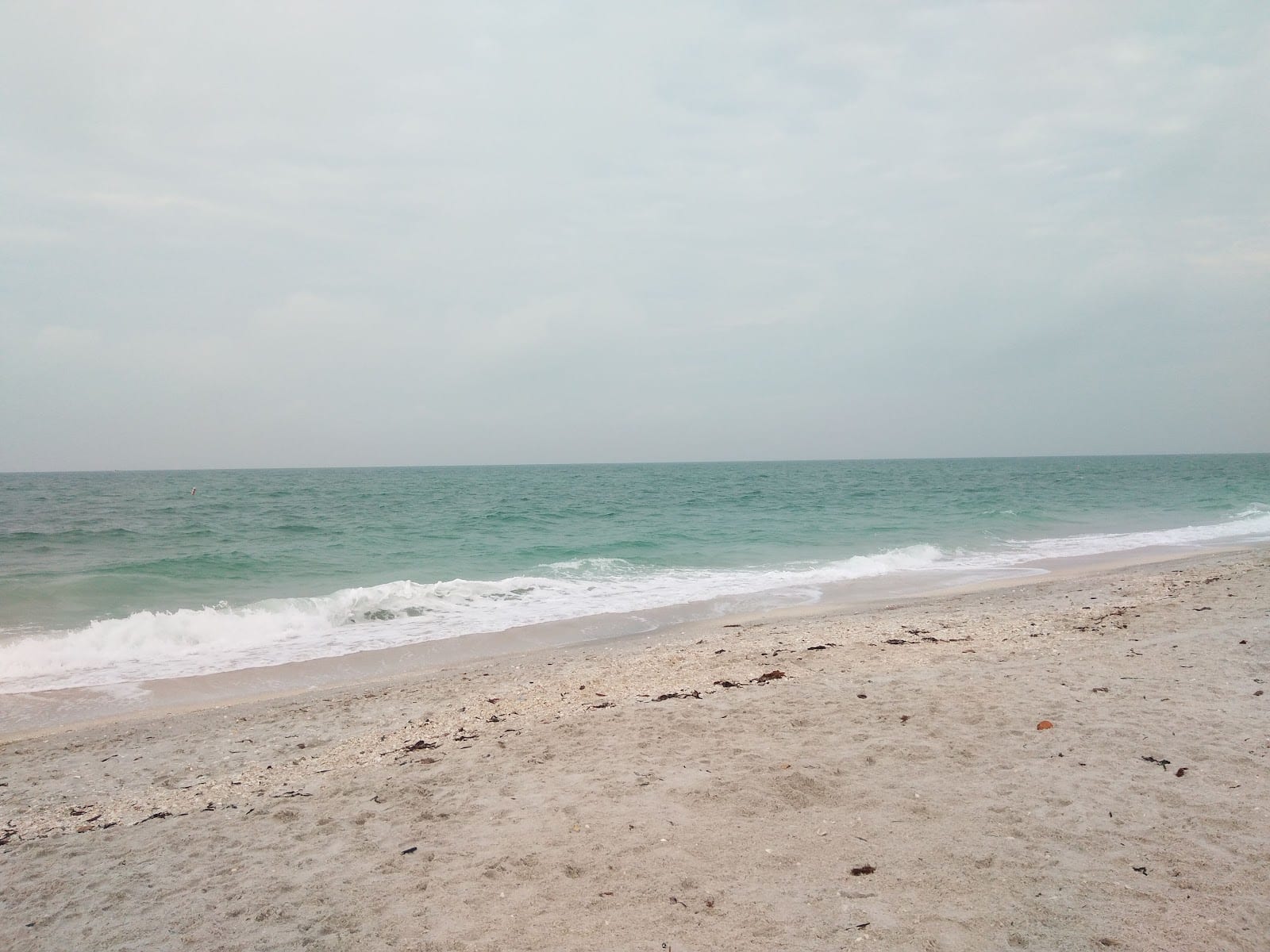 Dolphin + Sea Turtle Pool & Beach Homes, photo 2