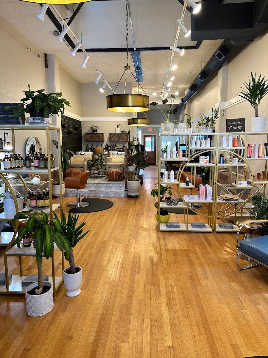 Loc and Leaf Aveda Salon & Curated Thrift, photo 2