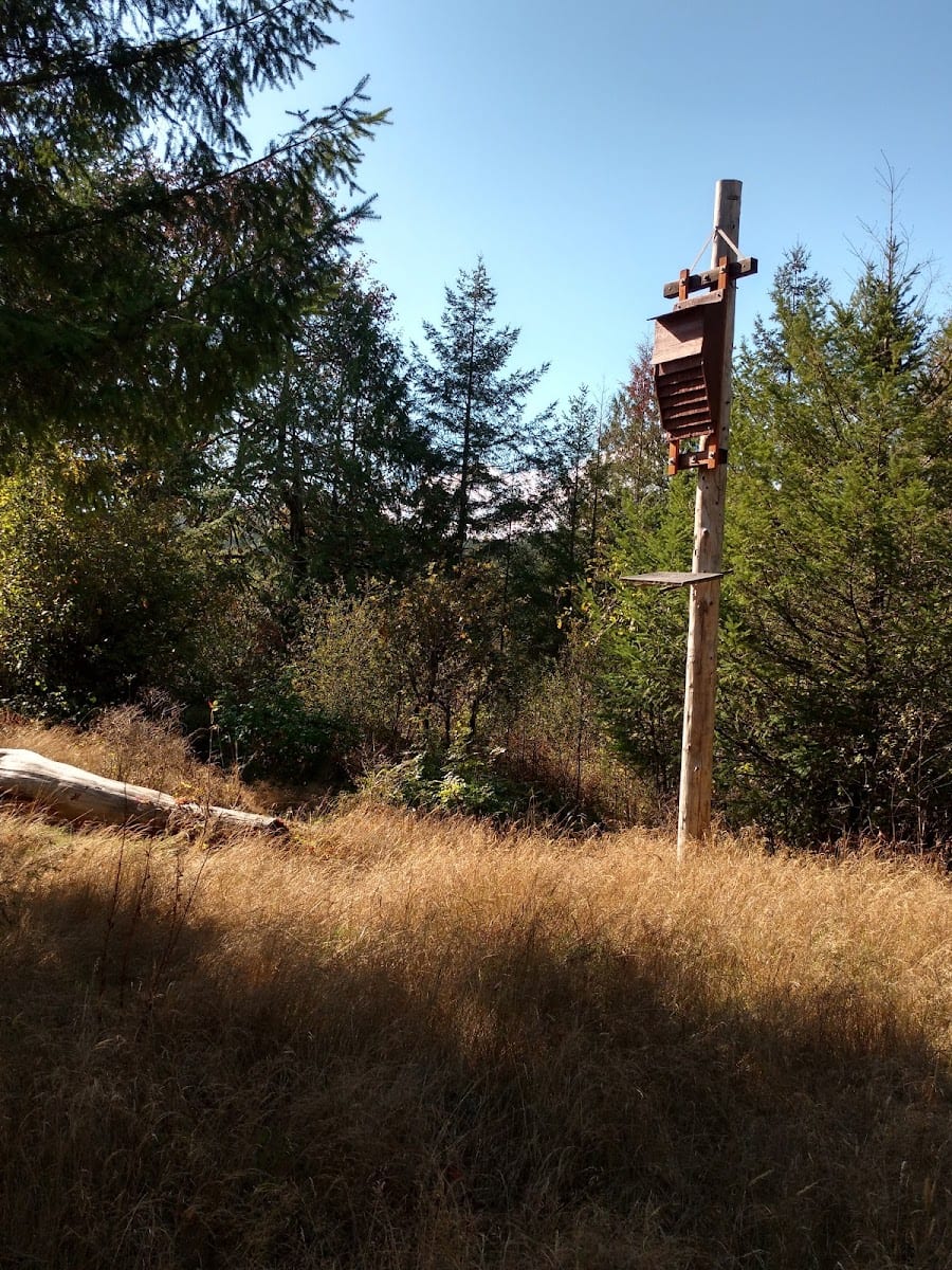 Black Lake Meadows Reserve