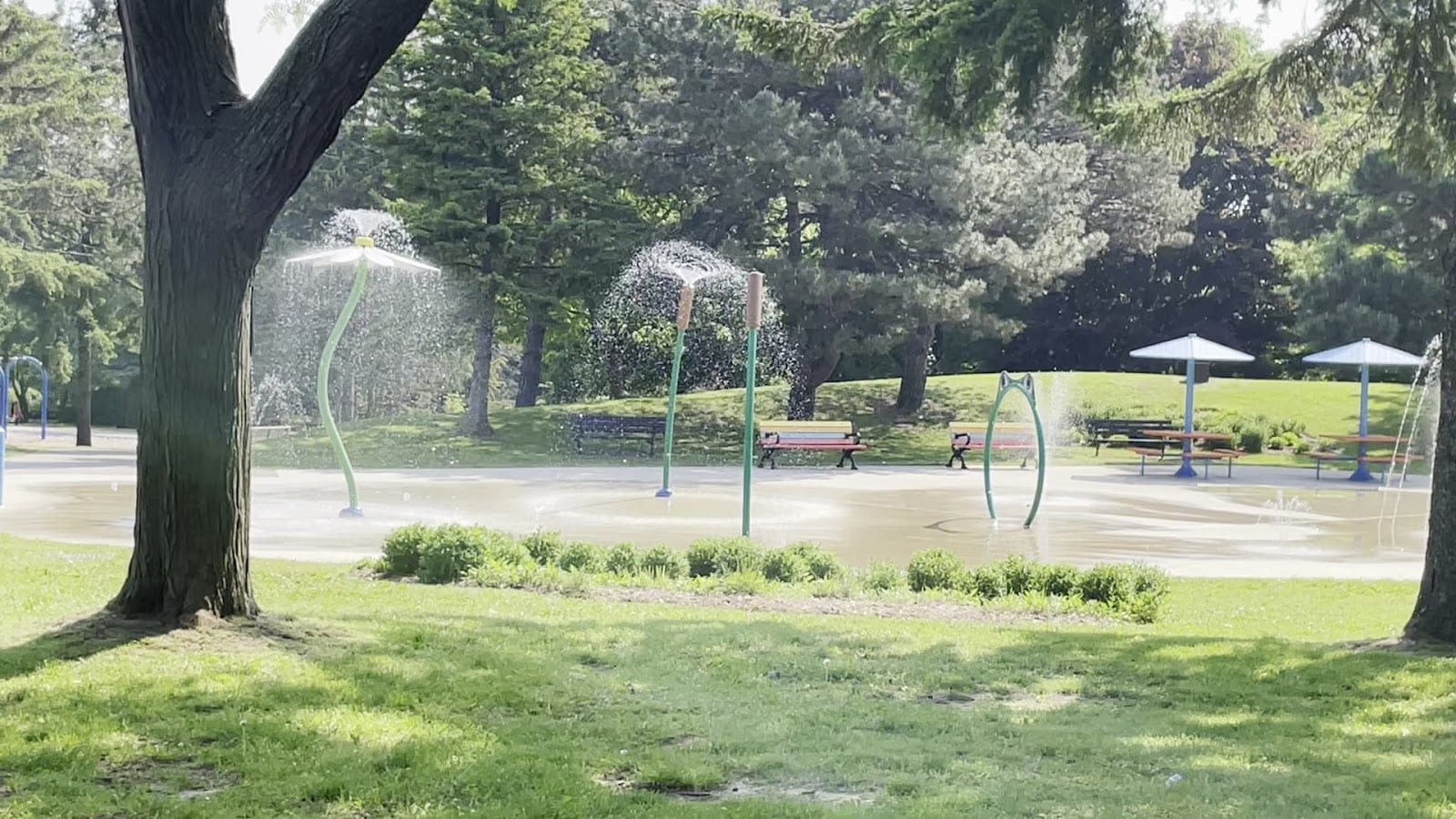 Thomson Memorial Park, photo 2