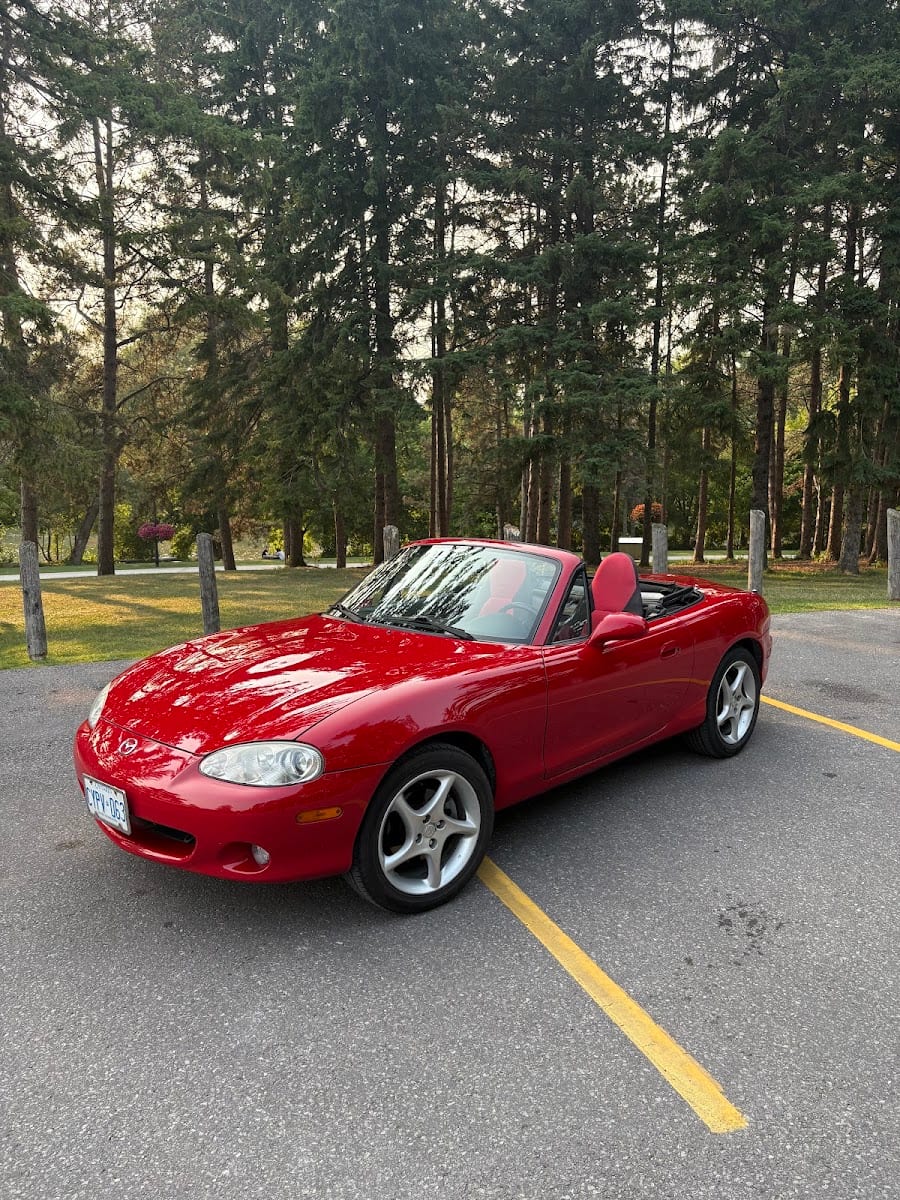 Royal Mobile Car Detailing of Richmond Hill, photo 4
