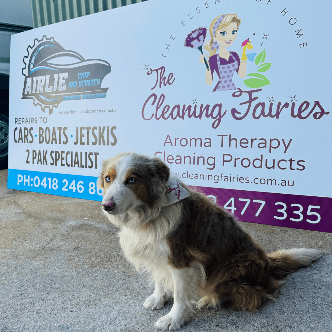 Cleaning Fairies Pty Ltd, photo 3