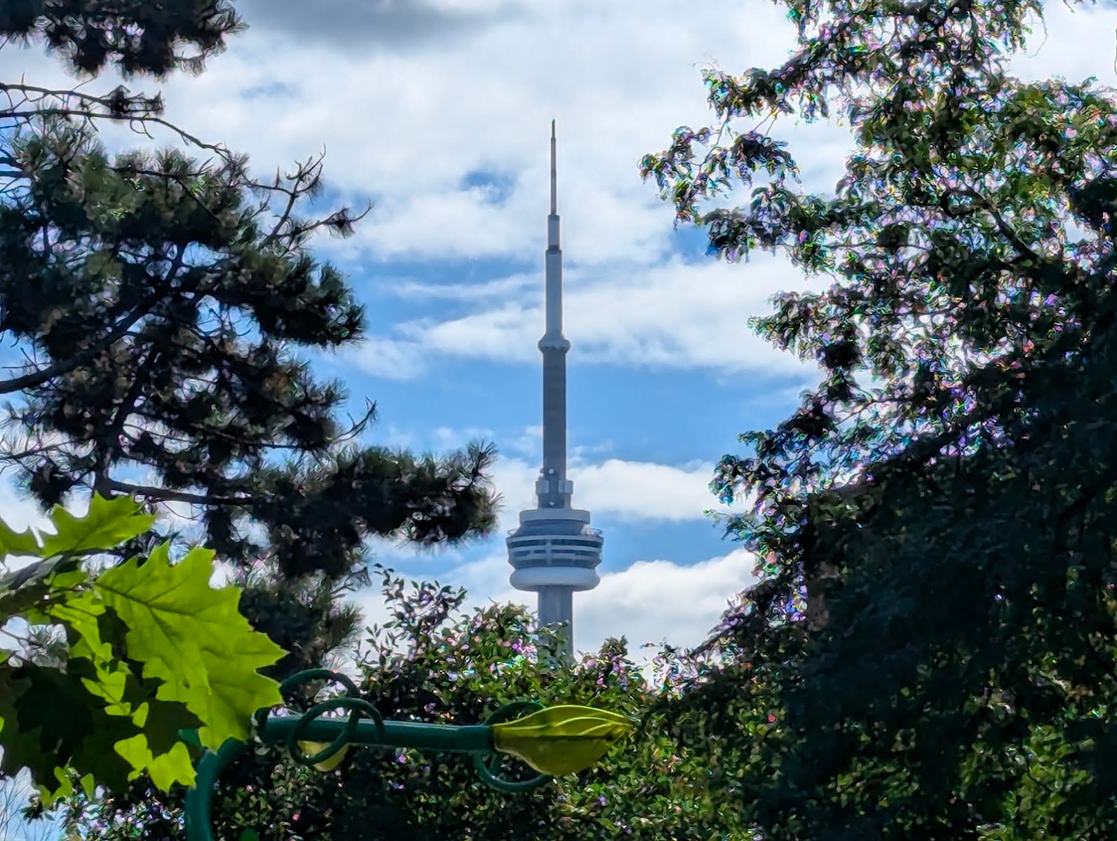 Osler Playground