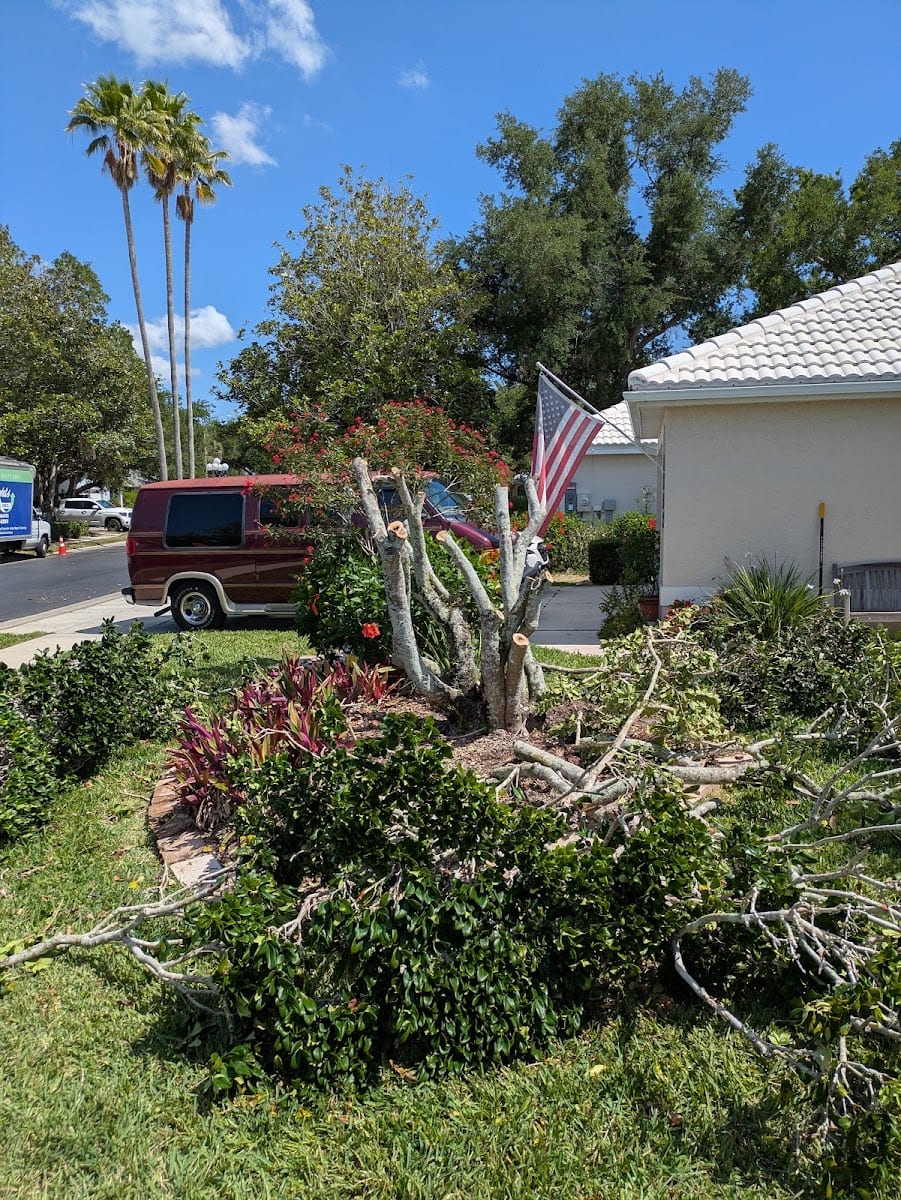 Eagle Eye Tree & Land services, photo 4