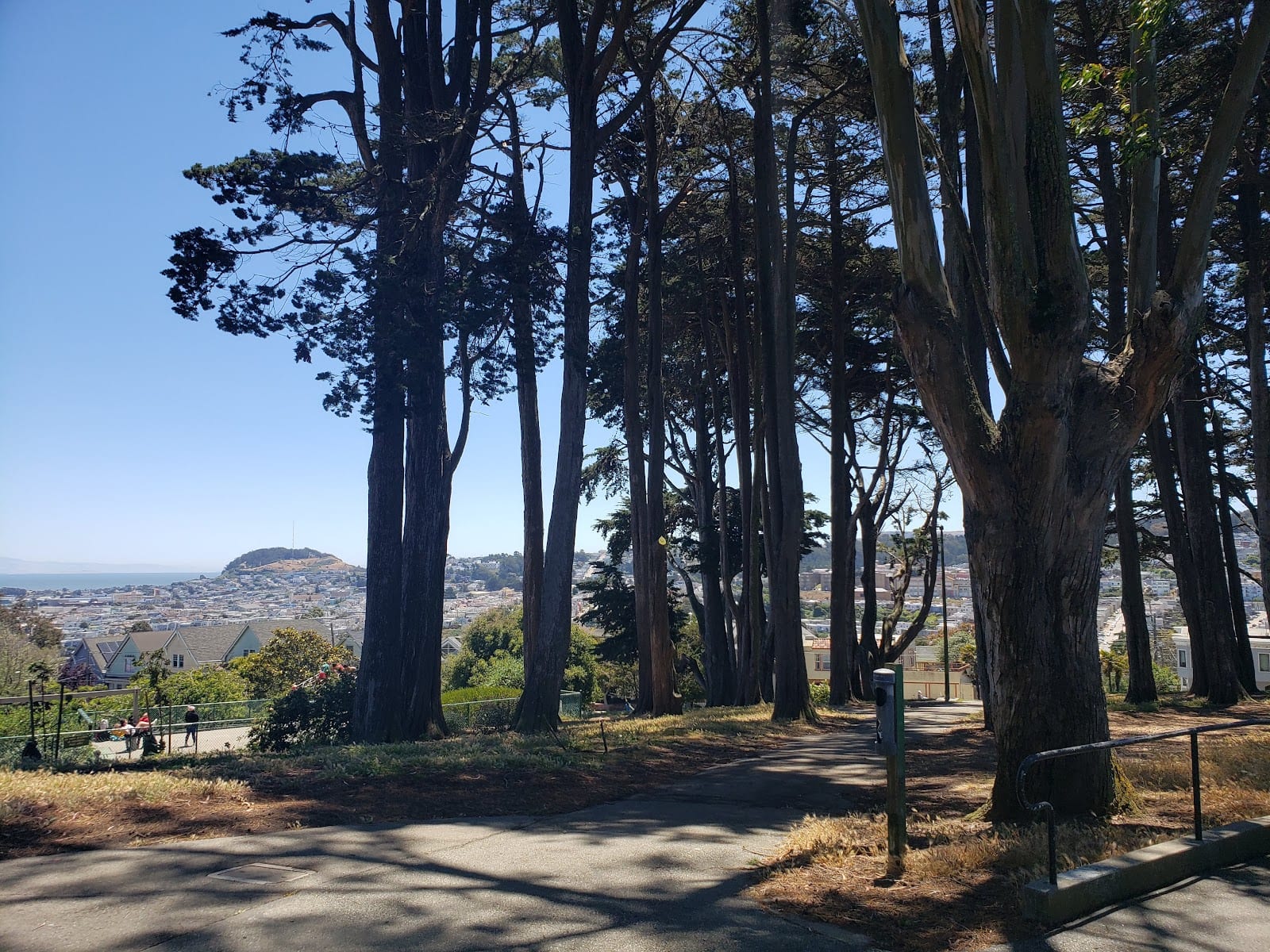 Holly Park