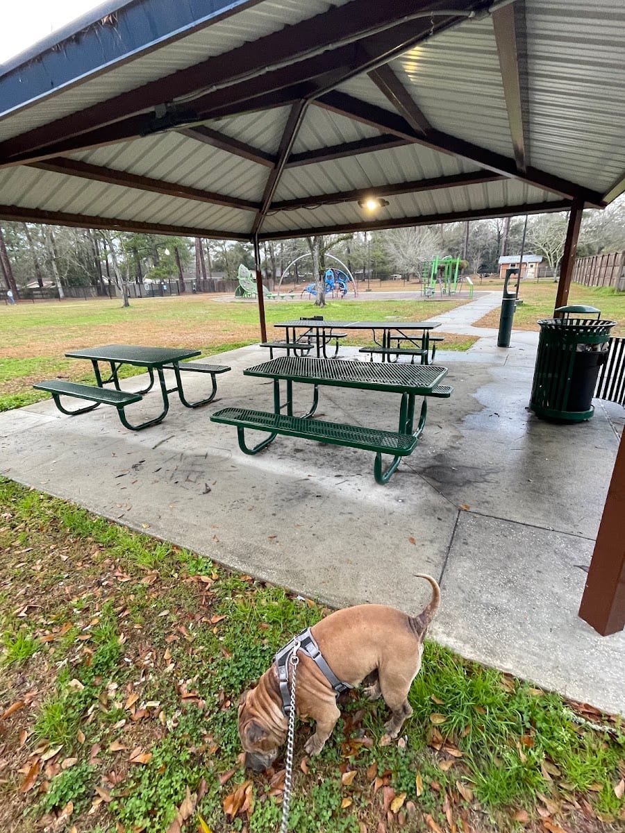 Dog Park, photo 3