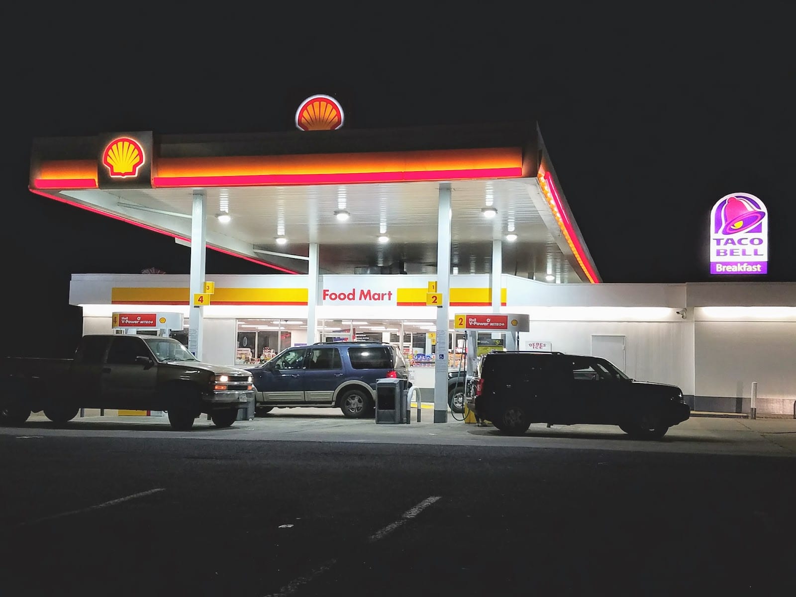 Shell, photo 3